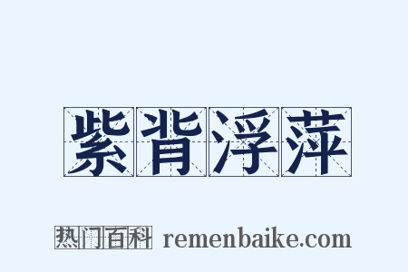 紫背浮萍是什么意思的图片